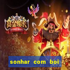 sonhar com boi jogo do bicho